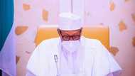 Presidency gives update about plans to rescue abducted Greenfield University students