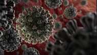 Covid-19: Israel launches own disinfectant that kills 100% coronavirus