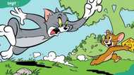 The 15 most iconic cartoon duos of all time who had no romantic relationship, ranked