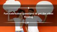 250+ fun icebreaker questions to get the vibes flowing