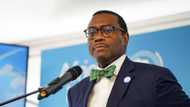 Africa Development Bank slams ban Nigerian CEO, company for 15 months over fraud