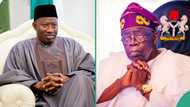 Why Jonathan should run against Tinubu in 2027 election