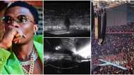 Wizkid shares video showing the amazing moment he climbed the stage at Madison Square Garden amid cheers