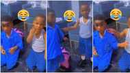 “Touch Taye”: Nigerian Mum Stunned as Twins Confuse Her After Committing an Offense, Funny Video Trends