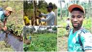 Nigerian graduate becomes a full time farmer, says he wants to contribute to the country's food produce