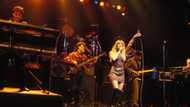 L'histoire du groupe Niagara, dans la légende du rock français