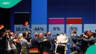 AfD projected to win 44% in Saxony-Anhalt, eyes first far-right state government since WW2