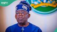 Video trends as Tinubu taunts critics, promises to defend free speech: “Call me names”