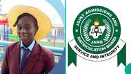2025 UTME top scorer of Abuja school celebrated for impressive score, high marks in science subjects