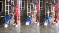 "Help me use my hands": Boy cries as father commands him to carry live white chicken, video causes stir