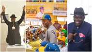 APC vs PDP: Full list of winners and losers in senatorial by-elections