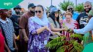 Climate change: Natasha unveils 10,000 economic trees initiative
