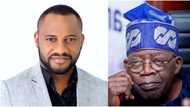 Nollywood actor Yul Edochie cautions Nigerians mocking Tinubu’s health and age, says it’s ‘absolutely wrong’