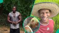 Mohbad: "I thought d Marlian fam will be a good place for me", Daniel Reagha digs up d tweet, clip
