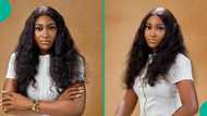 Lady sees 'bizarre' video on her electrician's WhatsApp status, shares it online, people react