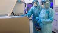 Alarm as another new COVID virus not found anywhere in the world emerges in Nigeria, here is what you should know about this newly discovered virus