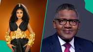 Phyna calls out Dangote over truck accident involving her sister: "We need justice"