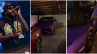 "He needs a bigger space": Rare video shows cars in Burna Boy's compound, Lamborghini, Ferrari, others spotted