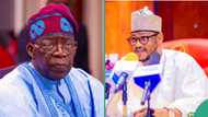 Nigerian governor declares public holiday as Tinubu is set to visit Buhari's state