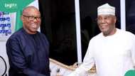 Chaos breaks out at Atiku, Peter Obi coalition meeting, video trends