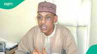 PRP rejects Tinubu’s push for state police, citing lack of credibility and trust