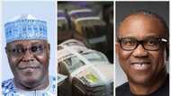 Obi, Atiku reveal plans to save Naira as one dollar exchanges for N800 in black market