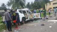 Looters carted away 9 trailer loads of items from our facility, food company cries out