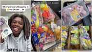 "I spent N30k": Nigerian lady in UK shows foodstuffs she bought in supermarket abroad, video causes stir
