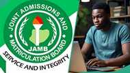 JAMB 2025 results: Top 10 university courses that don’t require Mathematics