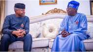 VP Osinbajo prays for president-elect Tinubu on 71st birthday