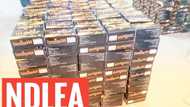 NDLEA ta kwace kwayoyin Tramadol 649,300 a filin jirgin sama na Legas