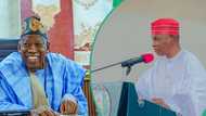 Jigo a NNPP ya yi zancen yiwuwar hadewar Abba, Kwankwasiyya da Ganduje a APC