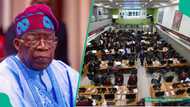 Tinubu breaks 2-year stock market records, Outperforms Obasanjo, Yar’Adua, Jonathan, Buhari