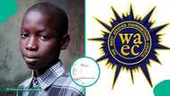 Boy who scored 273 in JAMB and wants to study Medicine and Surgery displays his 2026 WAEC result