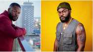 2023 elections: "Celebs that fueled tribalism deserve bullying," Rapper Falz says, makes case for others