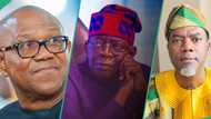 Tinubu's Chicago certificate: Reno Omokri taunts Peter Obi: “Pathetic desperado”