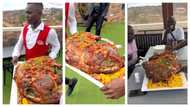 "This is half a million": Wealthy Ugandan men chest fully spiced goat feast in eye-catching TikTok video