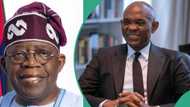 Tony Elumelu reacts to being considered to be appointed CBN governor by President Tinubu