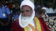 Sarkin Katsina ya barranta da matsayar Sheikh Gumi: Kisa ya dace da ƴan bindiga ba tattaunawa da su ba