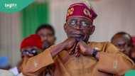 How Tinubu can end economic hardship in Nigeria, APC chair speaks