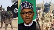 Amurka ta gano sirri: 'Yan bindiga na hada kai da Boko Haram don bata gwamnatin Buhari