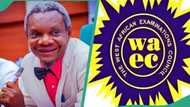 2025 WASSCE: Nigerian lawmaker gives WAEC 7-day ultimatum to release withheld results