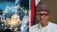 “Approved”: FG gives official approval as Nigeria embraces blockchain technology