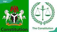 6 types of constitution: Their advantages and disadvantages