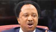 Shehu Sani: Gwamnatin Buhari Ta Ce Za Ta Tsamo Mutum Miliyan 100 Daga Talauci Sai Gashi Ta Jefa Miliyan 133 Cikin Talauci