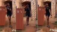 "Taller than the gate": Girl with incredible height stands in front of building, video trends