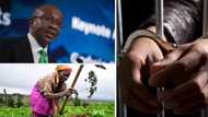Central Bank of Nigeria to arrest, lock up farmers on its Anchor Borrowers Programme for failure to repay loan
