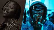 Stonebwoy drops upcoming trailer of documentary, video excites Bhim nations fans