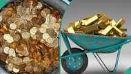 Construction workers dig up N14bn gold stash hidden inside old walls during renovation