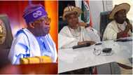 ‘Give us appointments, even as Aso Rock sweepers’, Miyetti Allah makes 1 strong appeal to Tinubu